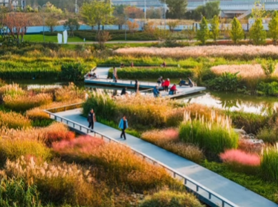 秋光為伴，我們與張村河共繪新景